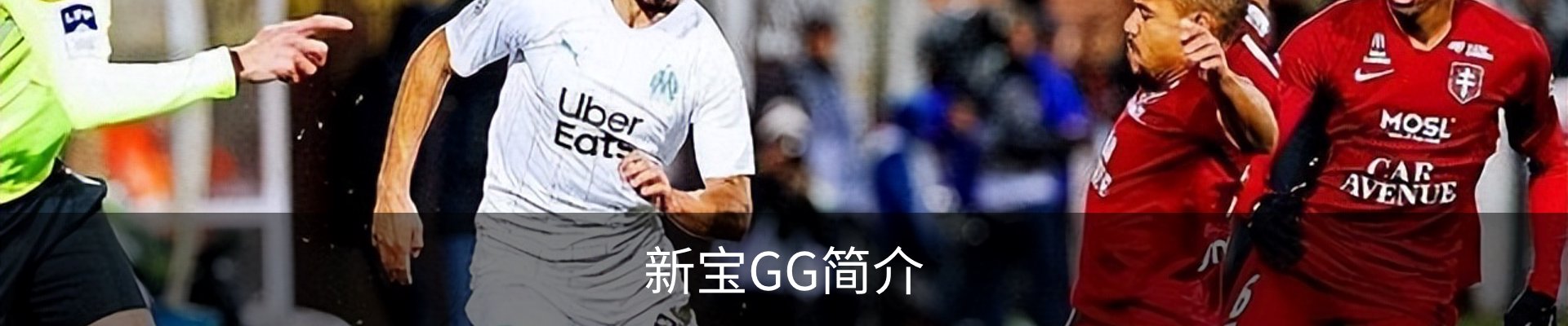 新宝GG简介